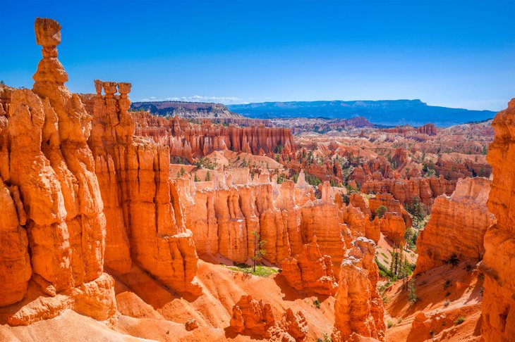 Parc national de Bryce Canyon dans l'Utah