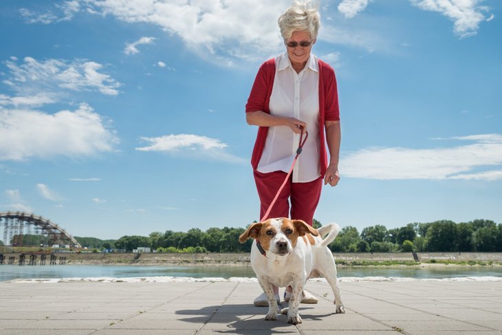 Senior retraité promener un chien