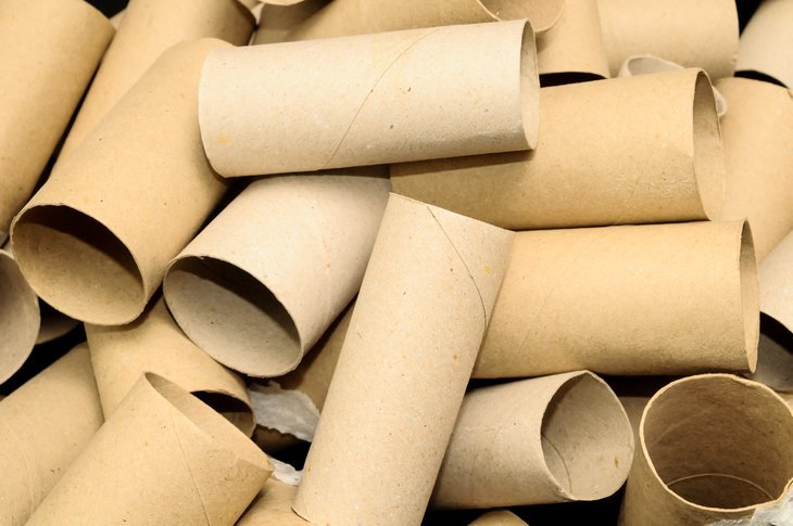 Cardboard tubes from toilet paper rolls - Sell for Cash