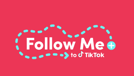 TikTok 'Follow Me'