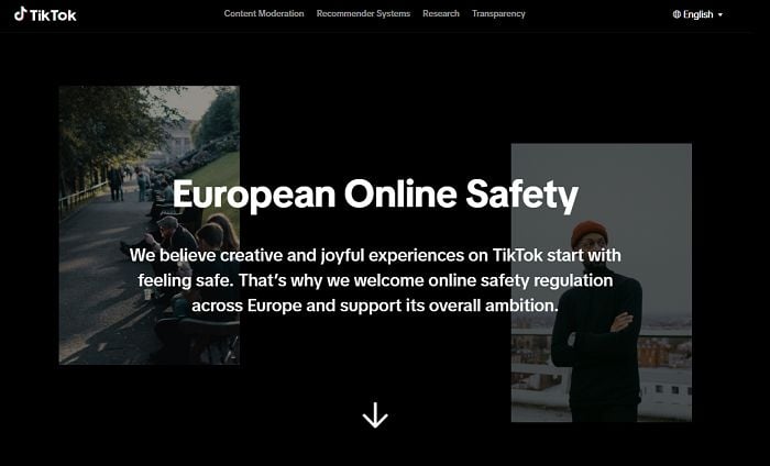TikTok EU Safety Hub