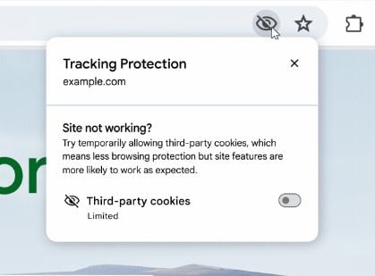 Google Chrome Tracking Protection